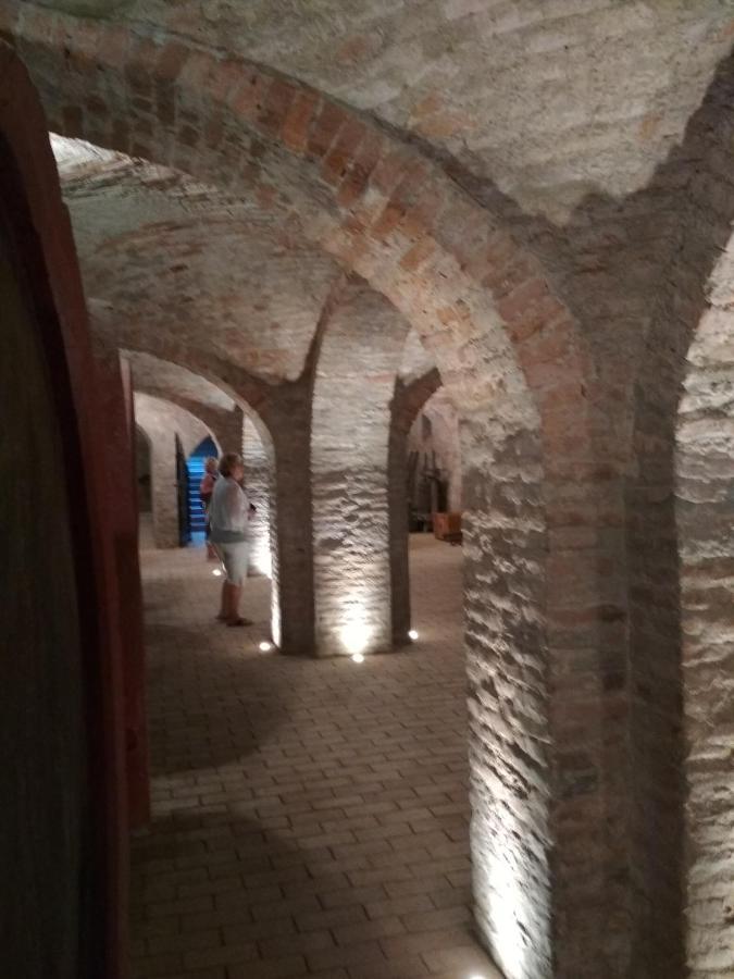 Ferienwohnung Golya Vendeghaz Tiszaug Exterior foto